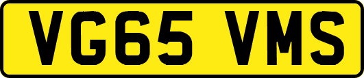 VG65VMS