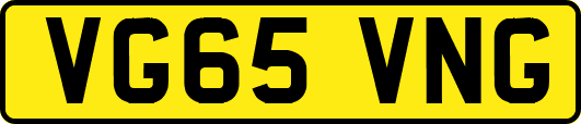 VG65VNG