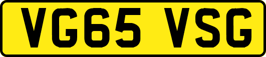 VG65VSG