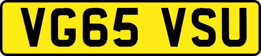 VG65VSU