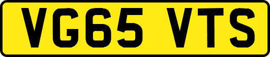 VG65VTS