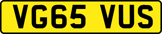 VG65VUS