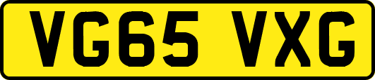 VG65VXG
