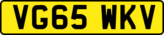 VG65WKV