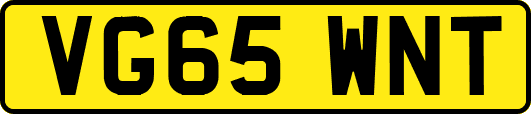 VG65WNT