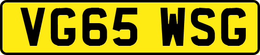 VG65WSG