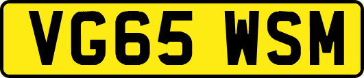 VG65WSM