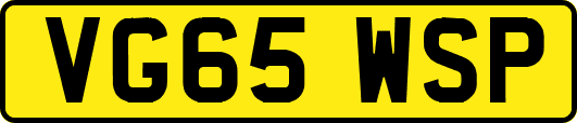 VG65WSP