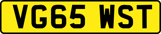 VG65WST