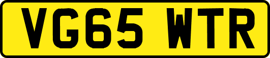 VG65WTR