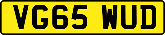 VG65WUD