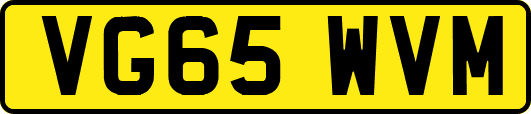 VG65WVM