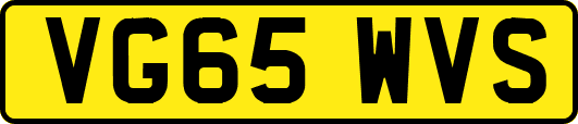 VG65WVS