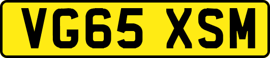 VG65XSM