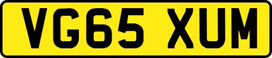 VG65XUM