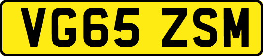 VG65ZSM