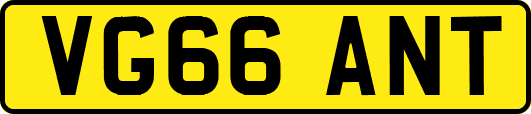 VG66ANT
