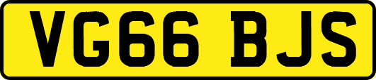 VG66BJS