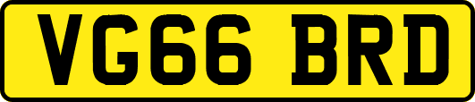 VG66BRD