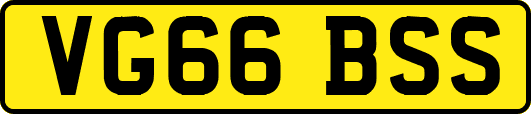VG66BSS