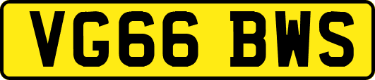 VG66BWS