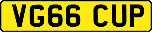 VG66CUP