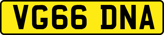 VG66DNA