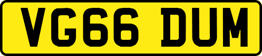 VG66DUM