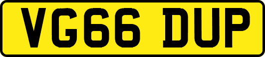 VG66DUP