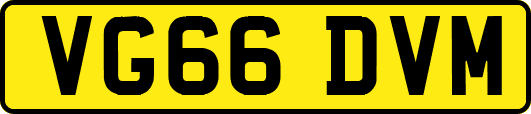 VG66DVM
