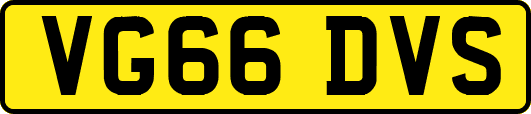 VG66DVS