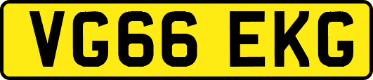 VG66EKG
