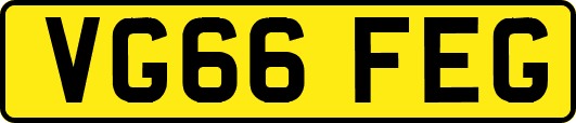 VG66FEG