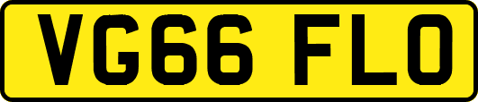 VG66FLO