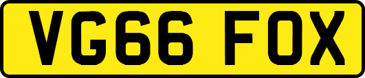 VG66FOX