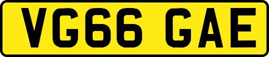 VG66GAE