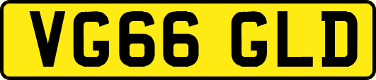 VG66GLD