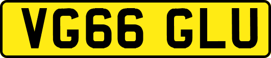 VG66GLU