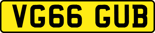VG66GUB