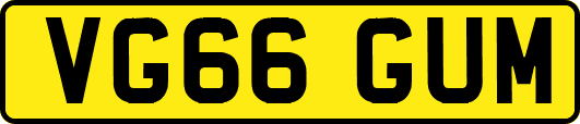 VG66GUM