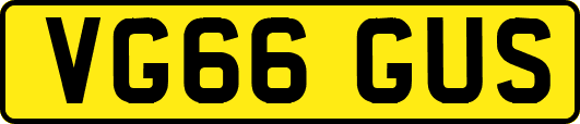 VG66GUS