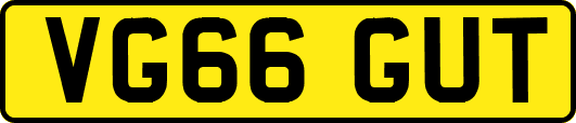VG66GUT