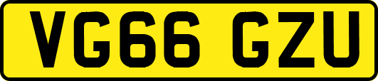 VG66GZU