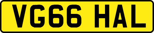 VG66HAL