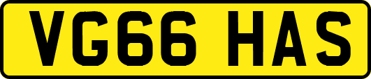 VG66HAS