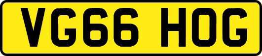 VG66HOG
