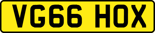 VG66HOX