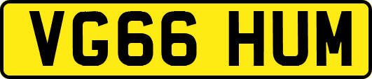 VG66HUM