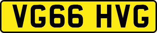 VG66HVG