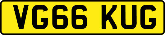 VG66KUG